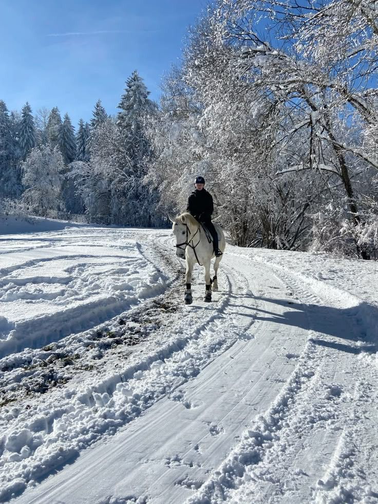 7d3a4bcd2e8d4c51b788146f02c50695